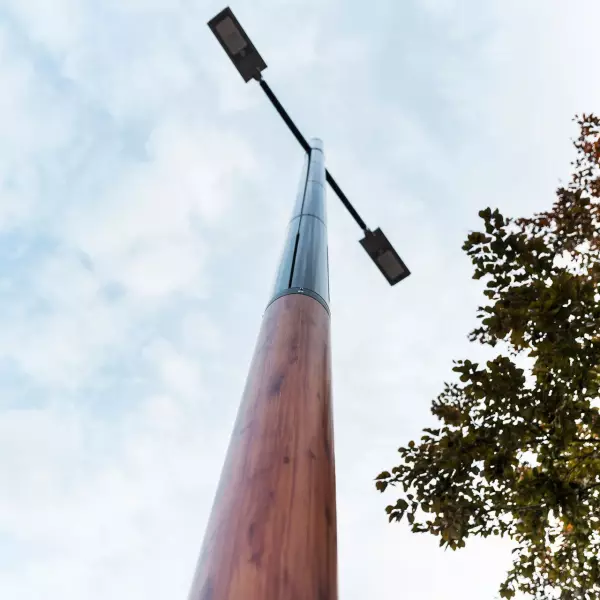Wooden pole for camera